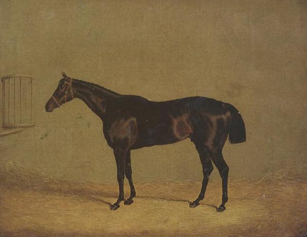 John Frederick Herring The Racehorse 'Mulatto' in A Stall oil painting picture